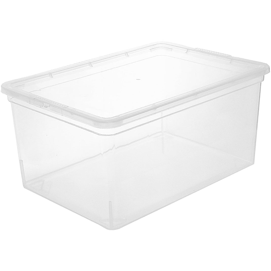 Clear Storage Bins with Lid